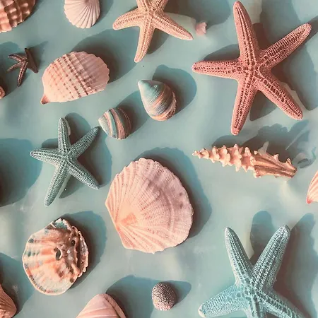 Casa Vittorina * 普拉