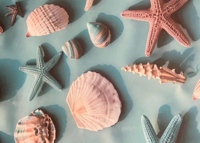 Casa Vittorina * Pula